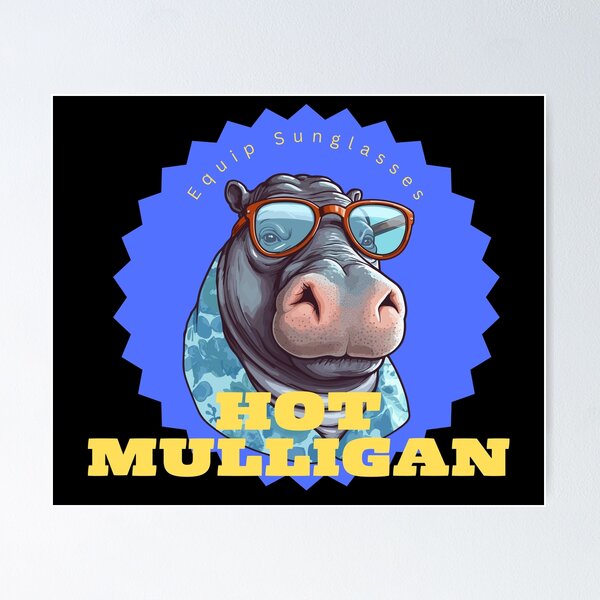 HOT MULLIGAN BAND Poster RB0712 product Offical hotmulligan Merch