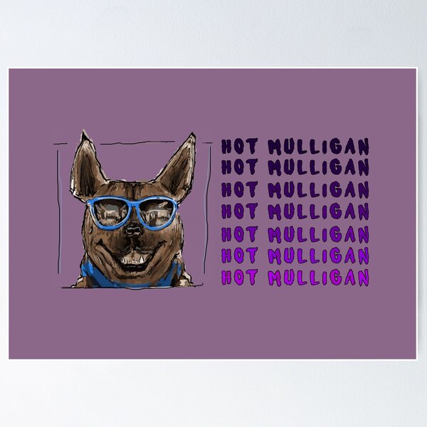 Hot Mulligan Split Poster RB0712 product Offical hotmulligan Merch